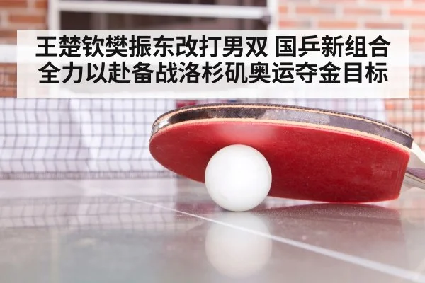 王楚钦樊振东改打男双 国乒新组合全力以赴备战洛杉矶奥运夺金目标